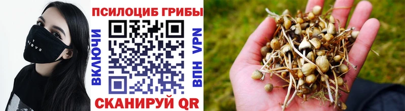 Купить где  Данков  Галлюциногенные грибы MAGIC MUSHROOMS 